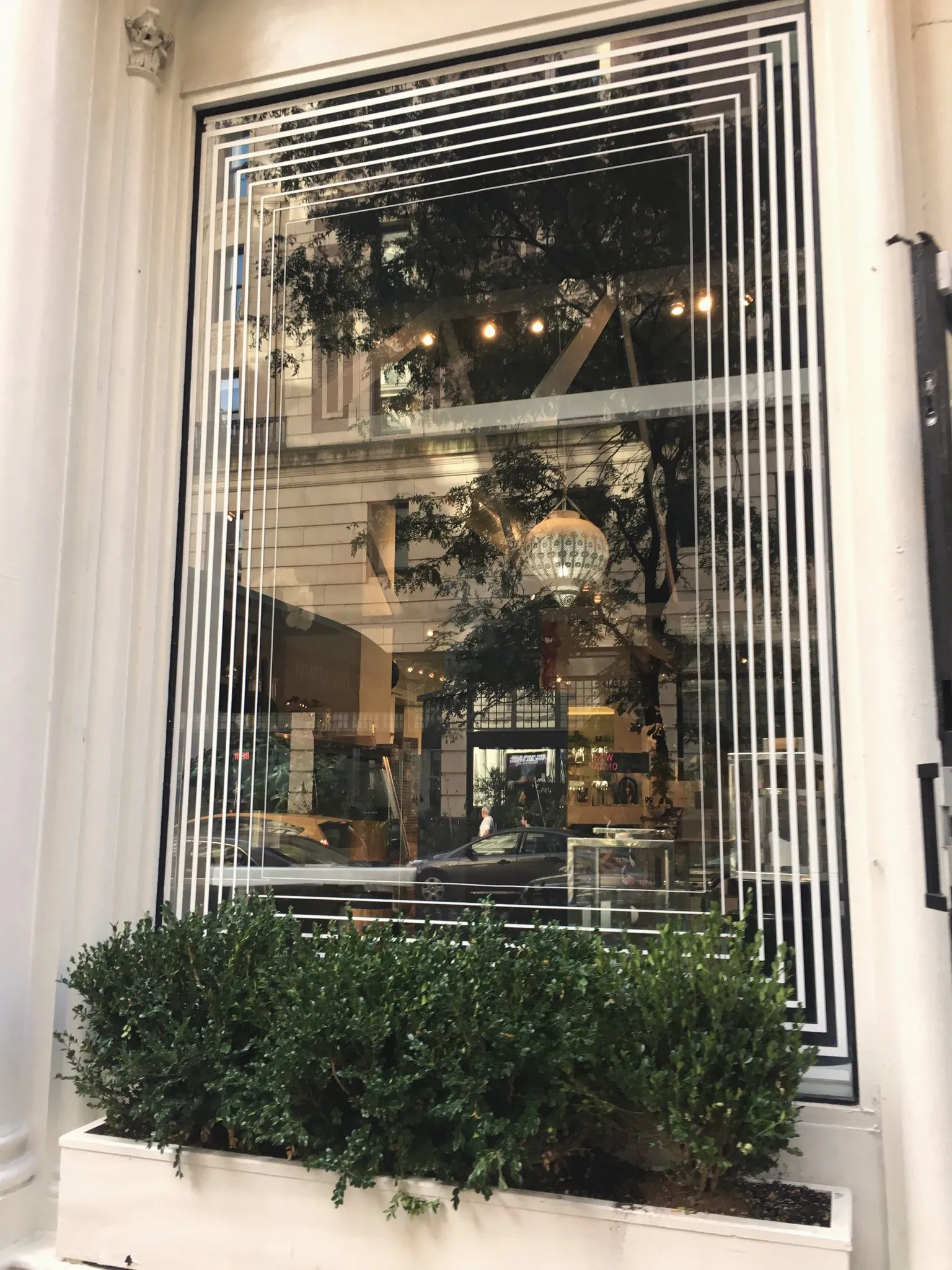 A café storefront with a plant-covered window