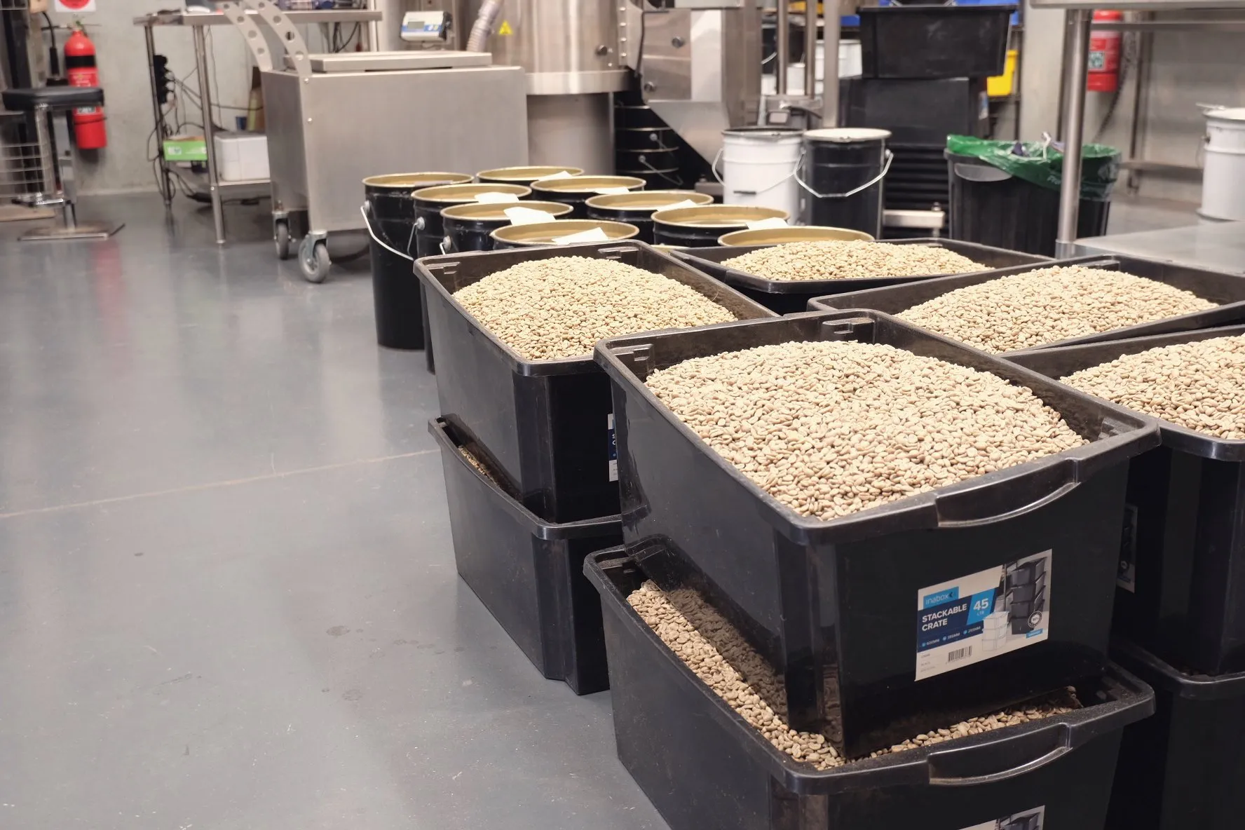 Bins of green coffee beans in roastery storage