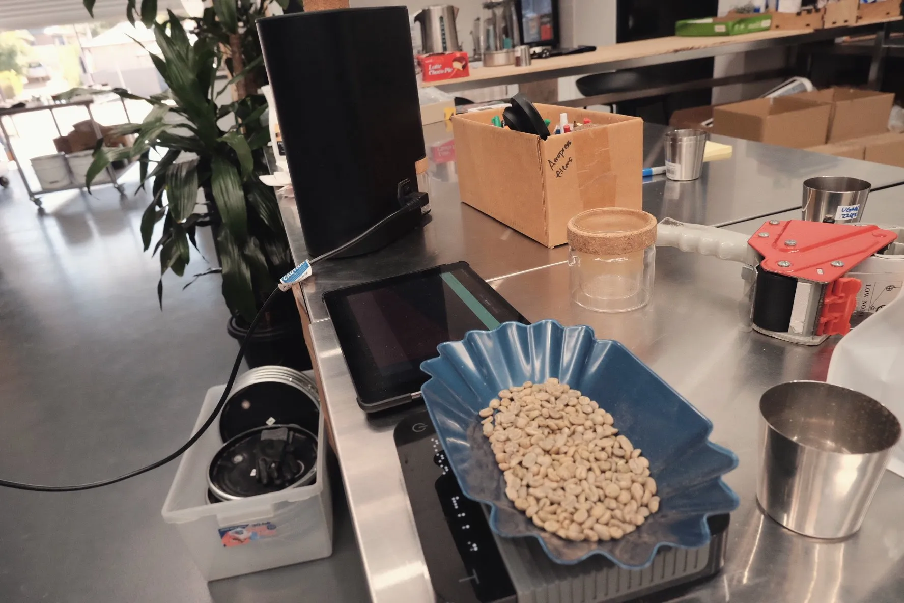 Green coffee beans in a blue tray on a digital scale