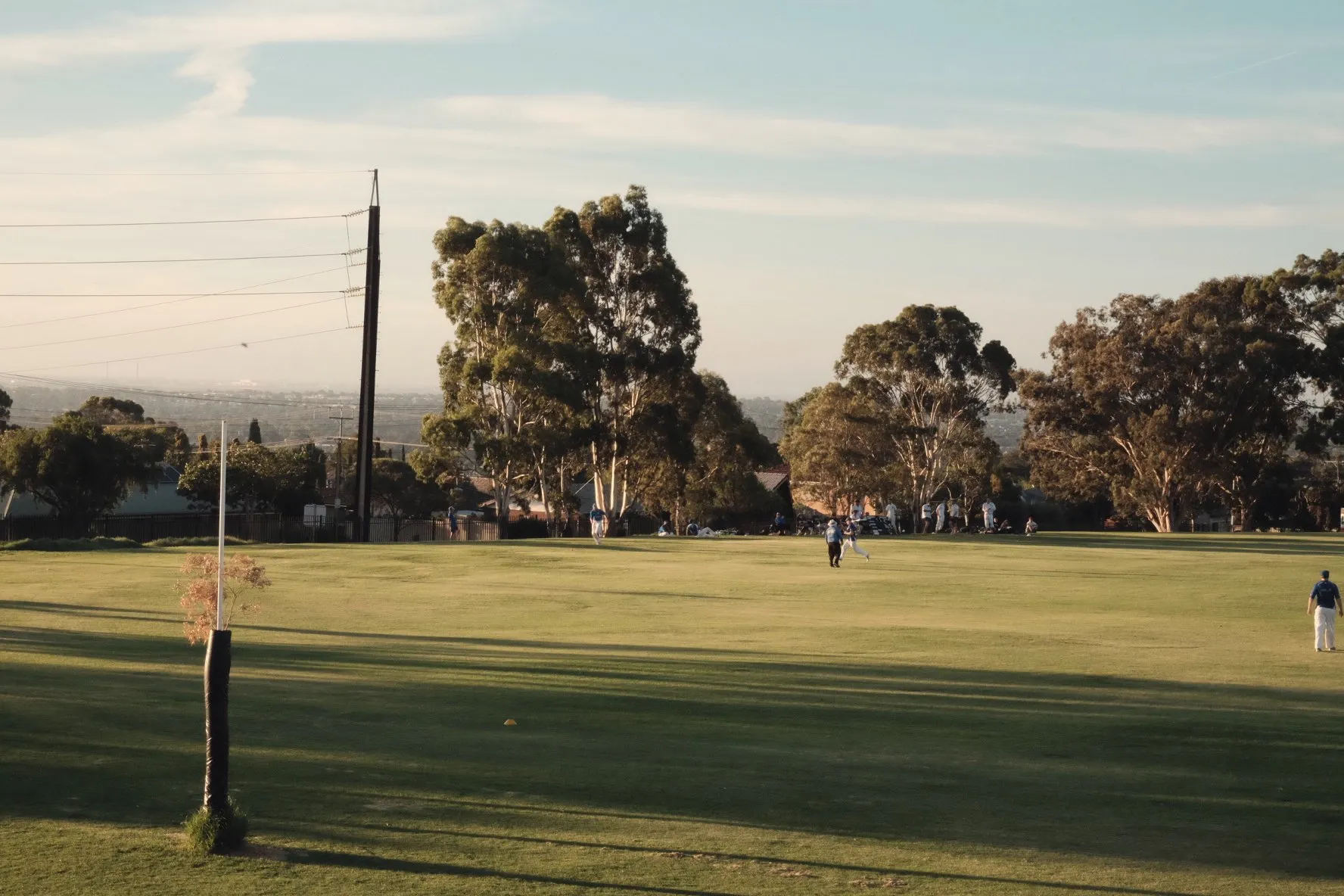 A green sports oval in the evening light